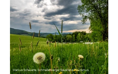 Blick Richtung Schmallenberg am Wanderparkplatz "Auf der Böhre"