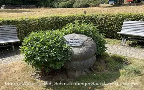 2445909