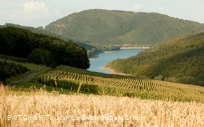 Diemelsee
