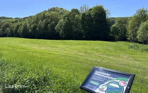 Veischeder Bilderbuchpfad_Wiese