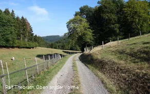 Gut zu gehende Schotter-, Forst- und Asphaltwege sind typisch für diesen Rundweg