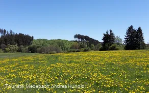 Frühlingswanderung auf dem Faustweg