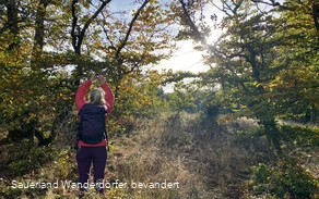 Unterwegs auf dem Medebacher Bergweg