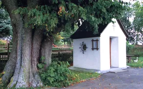 elpe05.jpg