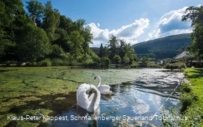 Teichanlage in Winkhausen