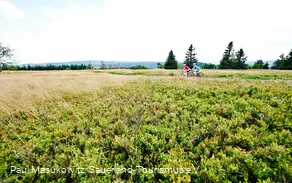 In der Hochheide-Landschaft des Kahlen Astens