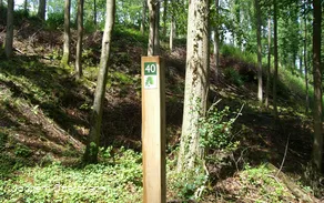 Wegezeichen Kurfürstlicher Thiergarten