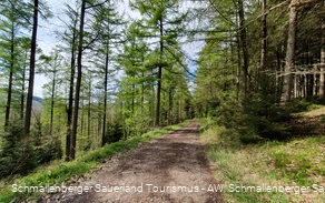 Auf dem Wanderweg Le1 und F3