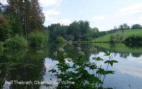 Idyllisch: Die Teiche entlang der Wanderstrecke