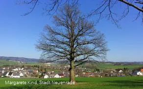 Aussicht vom Wellenberg auf Neuenrade-Kuentrop