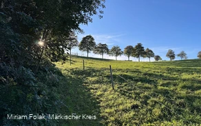 Wiesenpfad unterhalb der Meinhardus-Mattenschanzen