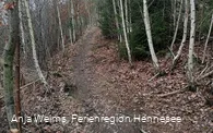 Weg den Küppel hinauf, Freienohl, F2, F3