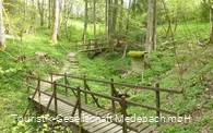 Die Orkequelle in Küstelberg