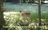 Tiergehege