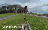 Scheuerpfahl Bürste