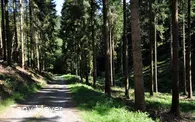 Naturschutzgebiet Bommecketal