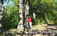 Entspannung pur beim Waldbaden
