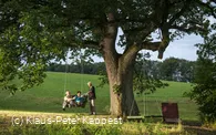 eiche-im-ohl-menschen-schaukel c__klaus-peter_kappest.jpg.jpg