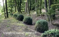 Mooskugeln.jpg