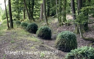 Mooskugeln.jpg