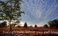 ferienwelt-wintebrerg_2015_niedersfeld_hochheide-goldener-pfad-landschaft-heide_herbst-5
