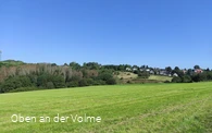 Aussicht von der Bank II