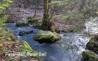 Die wilde Ennepe im Naturschutzgebiet