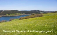 "Der Listerblick"