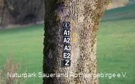 Viele Wanderwege führen am Wanderparkplatz entlang