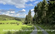 Waldrand am H2 bei Hemmighausen