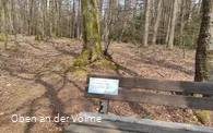 Die Bank im Buchenwald auf dem Silberg