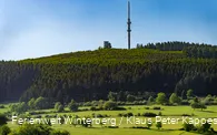 Bollerbergturm und Fernmeldeturm auf einem bewaldeten Berg.