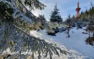 Stüppel und Stüppelturm im Winter