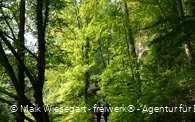Zuweg Sauerlandroute