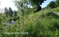 Blick auf die Volme