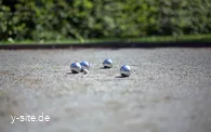 abenteuergolf-willingen-boule.jpg