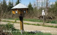 Waldweg Grenzenlos1.jpg