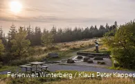 FerienweltWinterberg_2017_Altastenberg Lennequelle Wandern Kahler Asten_SommerHerbst (5)_(low)_Klaus-Peter Kappest.jpg