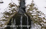 Paulinenqulle im Schnee