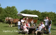 Kutschen-Pause.jpg