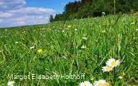 Landschaftsimpressionen oberhalb A1.jpg