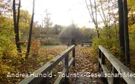 Weddelsee in Medebach