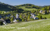 Eine Ansammlung von Häusern mit einer Kirche umgeben von Wäldern und Wiesen.