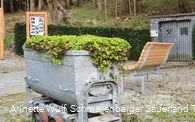 2446911