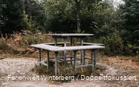 Eine Sitzgelegenheit mit einem Tisch und einer durchgehenden Bank rundherum auf einer Wiese mit Wald im Hintergrund.