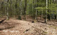 Natur pur im Naturschutzgebiet