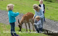 Wildpark Frankenberg (Eder)