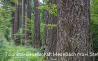 Sauerland-Seelenort Himmelssäulen