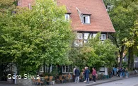 20240927_Zwiebel2.jpg