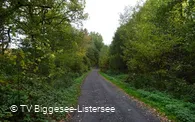 Pfad zum Pumptrack